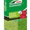 DCM Meststof Gazonstart 1 DCM Meststof Gazonstart -Tuinartikelen Winkel dcm meststof gazonstart 1586240779 l