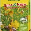 ECOstyle Gazon-AZ Najaar 2 Kg -Tuinartikelen Winkel ecostyle gazon az najaar 2 kg 1614086099 l