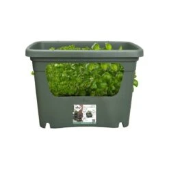 Elho Plantenbak Green Basics Stack & Grow Large Groen -Tuinartikelen Winkel elho plantenbak green basics stack grow large groen 800x800 620e3d4daa1b4 l
