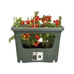 Elho Plantenbak Green Basics Stack & Grow Large Groen -Tuinartikelen Winkel elho plantenbak green basics stack grow large groen 800x800 620e3d4de4622 l
