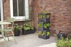 Elho Plantenbak Green Basics Stack & Grow Large Zwart -Tuinartikelen Winkel elho plantenbak green basics stack grow large zwart 800x534 620e3d4f78fb3 l