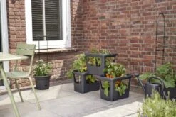 Elho Plantenbak Green Basics Stack & Grow Large Zwart -Tuinartikelen Winkel elho plantenbak green basics stack grow large zwart 800x534 620e3d4fc59c1 l