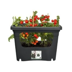 Elho Plantenbak Green Basics Stack & Grow Large Zwart -Tuinartikelen Winkel elho plantenbak green basics stack grow large zwart 800x800 620e3d4eed857 l