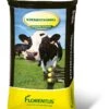 Florentus Koemestkorrel 10kg 1 Florentus Koemestkorrel 10kg -Tuinartikelen Winkel florentus koemestkorrel 10kg 1583313424 l