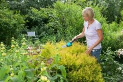 GARDENA Accu Gras- En Buxusschaar Set Accucut Li 8 GARDENA Accu Gras- En Buxusschaar Set Accucut Li -Tuinartikelen Winkel gardena accu gras en buxusschaar set accucut li 1619704816 l