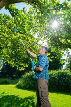 GARDENA Accu Telescopische Snoeizaag TCS 20/18 P4A Solo -Tuinartikelen Winkel gardena accu telescopische snoeizaag tcs 20 18 p4a solo 1000x1500 640af3255d2cf l