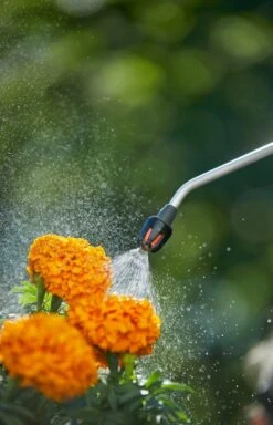 GARDENA Drukspuit 5 L 7 GARDENA Drukspuit 5 L -Tuinartikelen Winkel gardena drukspuit 5 l 1619704865 1 l