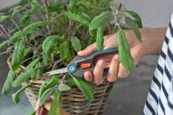 GARDENA FreshCut -Tuinartikelen Winkel gardena freshcut 1500x1000 640af8175f65c l