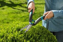 GARDENA PrecisionCut Heggenschaar -Tuinartikelen Winkel gardena precisioncut heggenschaar 1500x1000 640af7caf009e l