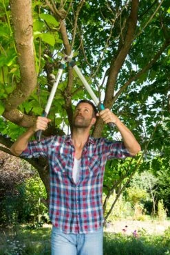 GARDENA Takkenzaag EasyCut 680 B (12003 + 8754 E12) -Tuinartikelen Winkel gardena takkenschaar easycut 680 b 8754 1000x1500 640af7ec497bd l