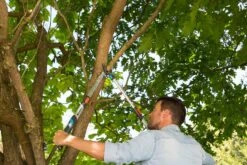 GARDENA Takkenschaar TeleCut Long 650-900 B -Tuinartikelen Winkel gardena telecut long 650 900b 1500x1001 640af7f15744f l