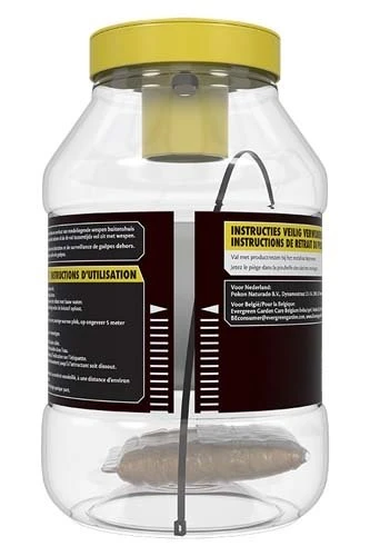 KB Wespenval Met Lokstof 1 Stuk 4 KB Wespenval Met Lokstof 1 Stuk - Afbeelding 2