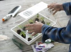 Nature Deksel Voor Kweekbak 55x31cm -Tuinartikelen Winkel nature deksel voor kweekbak 55x31cm 800x587 6214a0233f631 l