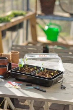 Nature Kweekkas Verwarmd 38x24cm -Tuinartikelen Winkel nature kweekkas verwarmd 38x24cm 534x800 6214a026e40ab l