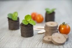 Nature Turftabletten 48st 8 Nature Turftabletten 48st -Tuinartikelen Winkel nature turftabletten 48st 800x532 6214a01453d91 l