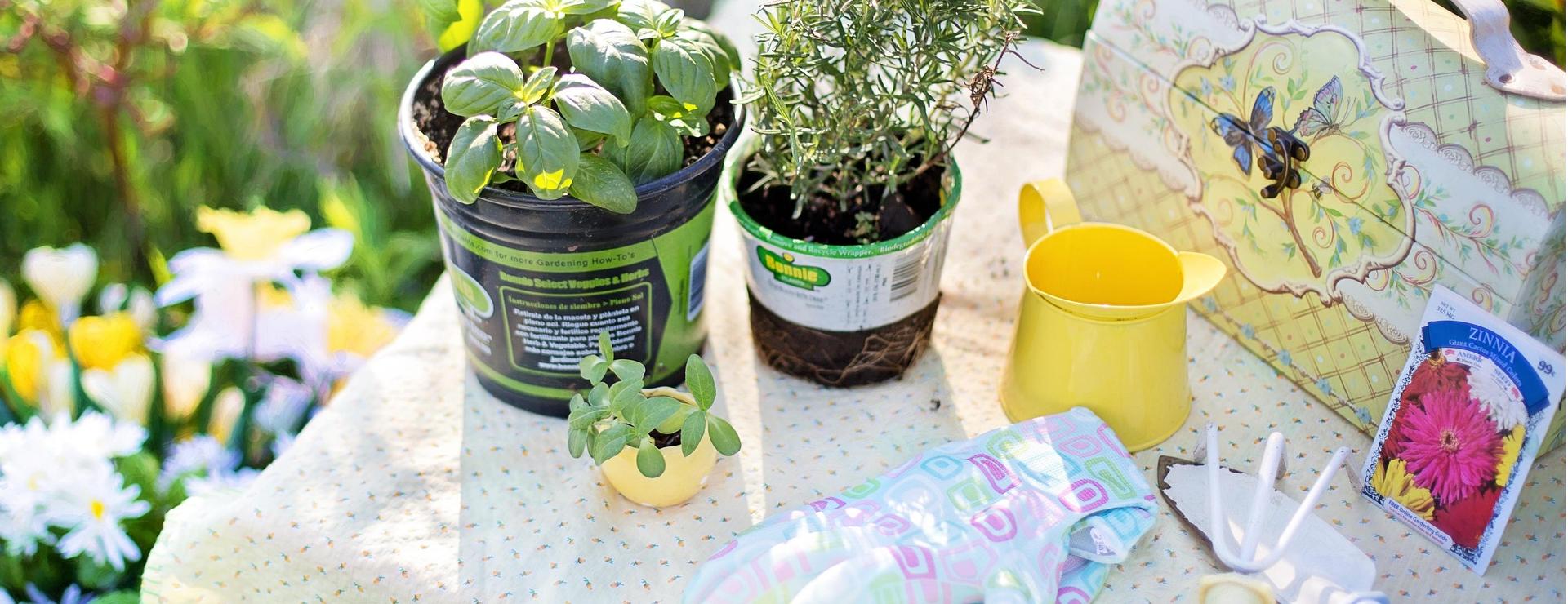 Tuinartikelen Winkel -Tuinartikelen Winkel planting 780736 1920