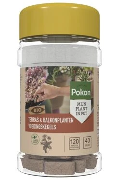 Pokon Bio Terras & Balkon Planten Voedingskegels 40 Stuks