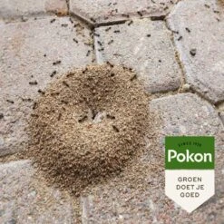 Pokon Tegen Mieren Korrels 400gr -Tuinartikelen Winkel pokon tegen mieren korrels 400gr 1000x1000 6221fb52c5ede l