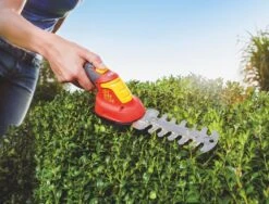 WOLF-Garten Accubuxus Finesse LI-ION PW 30B -Tuinartikelen Winkel wolf garten accubuxus finesse li ion pw 30b 1619177776 1 l