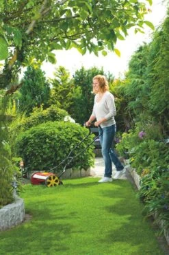 WOLF-Garten Kooimaaier 38CM TT380DL -Tuinartikelen Winkel wolf garten kooimaaier 38cm tt380dl 1619177771 2 l